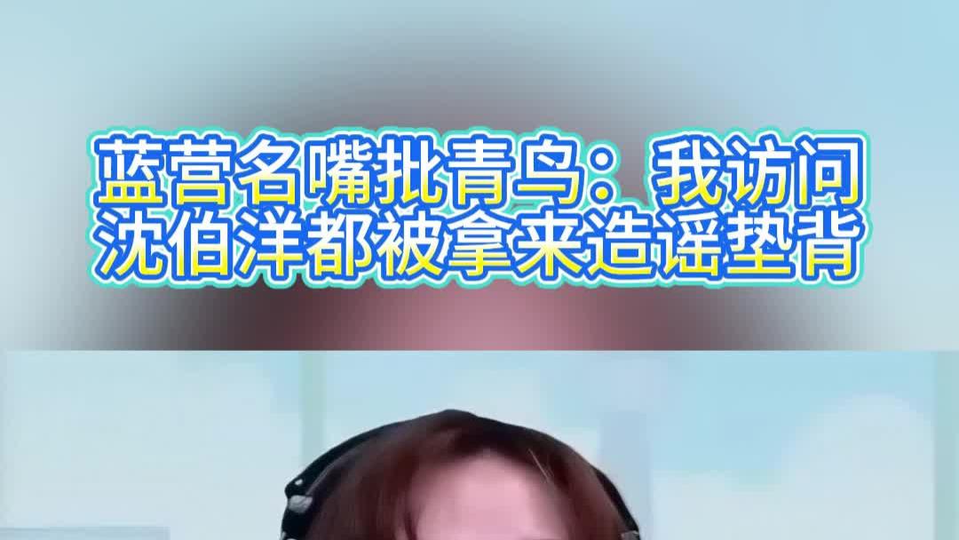 蓝营名嘴批青鸟：我访问沈伯洋都被拿来造谣垫背