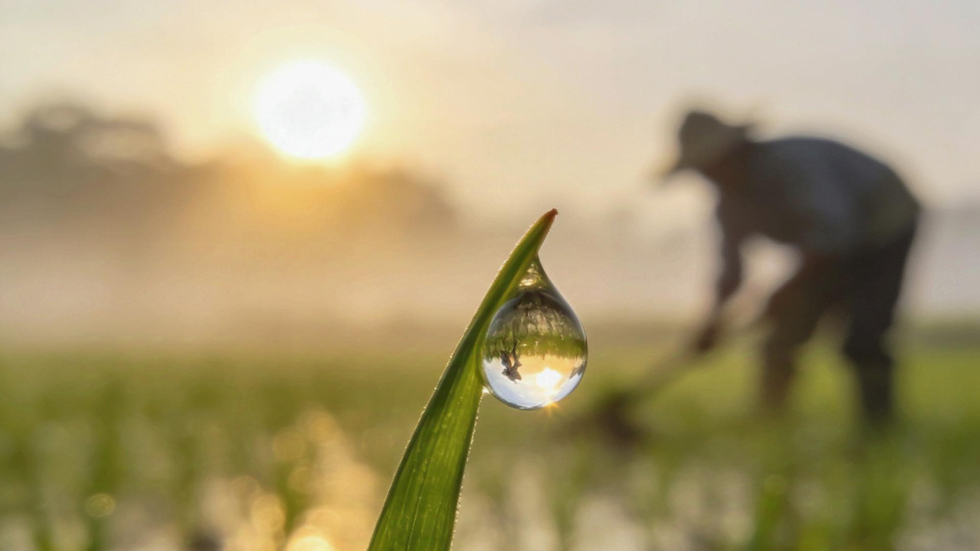 光的启示录 ：时间不够用，可能是因为你活得太像人类