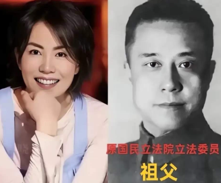 真是没想到这演艺圈的男女明星，竟然有如此好的家世，完全可以躺平。也会有不错的人生