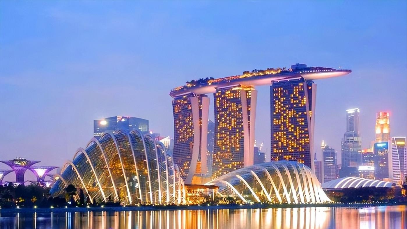 能否查询和调取新加坡公司的注册文件Registers？