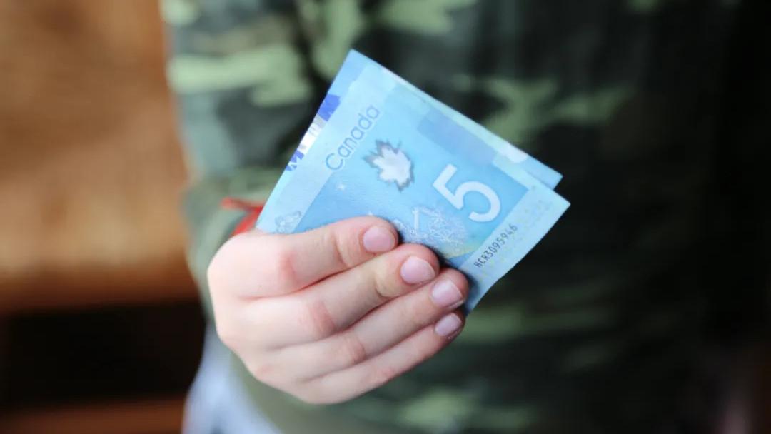 又涨了！加拿大移民申请与入籍申请费用即将上调，影响所有申请人