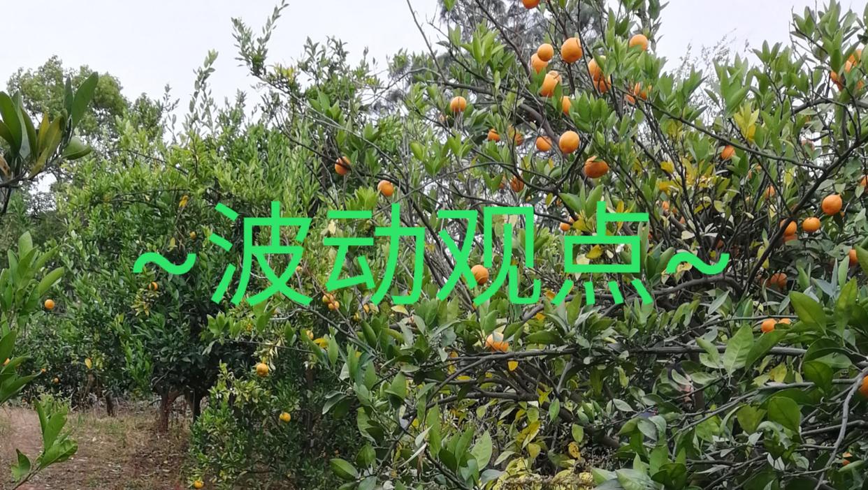 法律到底是保护弱者还是强者？