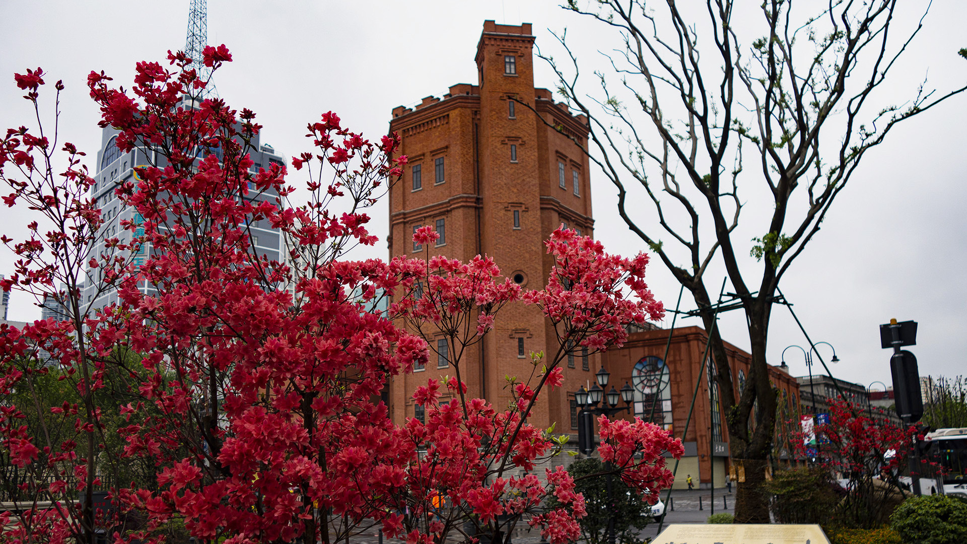 百年水塔：汉口天际线的守望者
