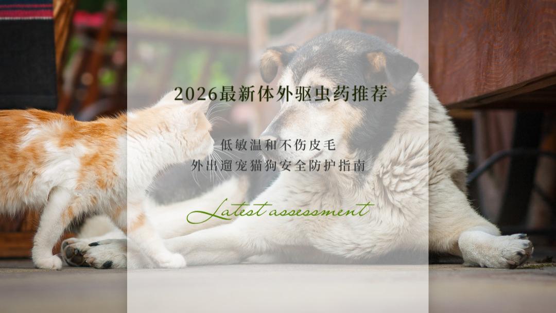 2026最新体外驱虫药推荐：低敏温和不伤皮毛 外出遛宠猫狗安全防护指南