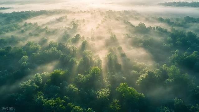 100%FSC认证玻璃纸袋：环保与品质双在线，服装包装优选方案