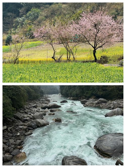 云南旅游，丙中洛美景和美食攻略！