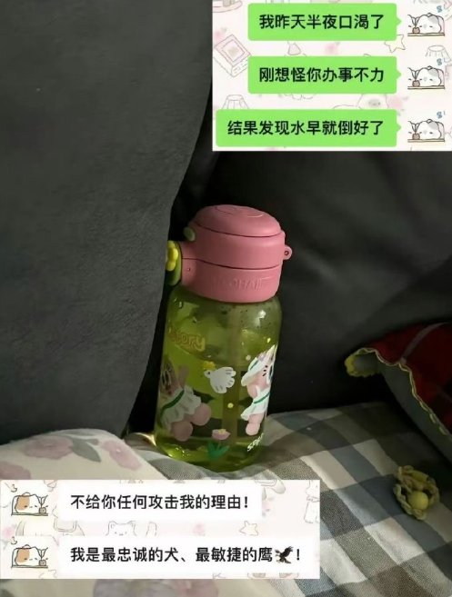 有人教会你成长，也会有人把你宠成小朋友。一生所求，不过饱餐与被爱，一生所爱，不过