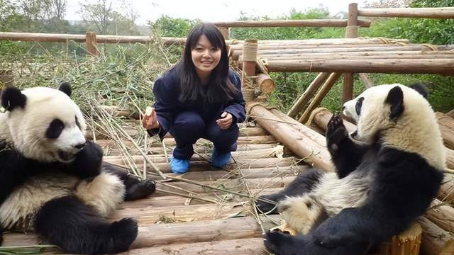 来自日本的她，是怎么在成都当上熊猫“铲屎官”？