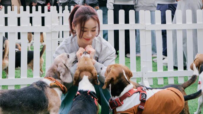 袁姗姗义工街头做义工，姐姐爱心爆满！