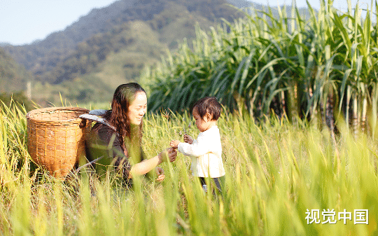 男子在部队提干后，要和清岚县老家的女人离婚，女人不仅没骂他陈世美，反而更爱他了