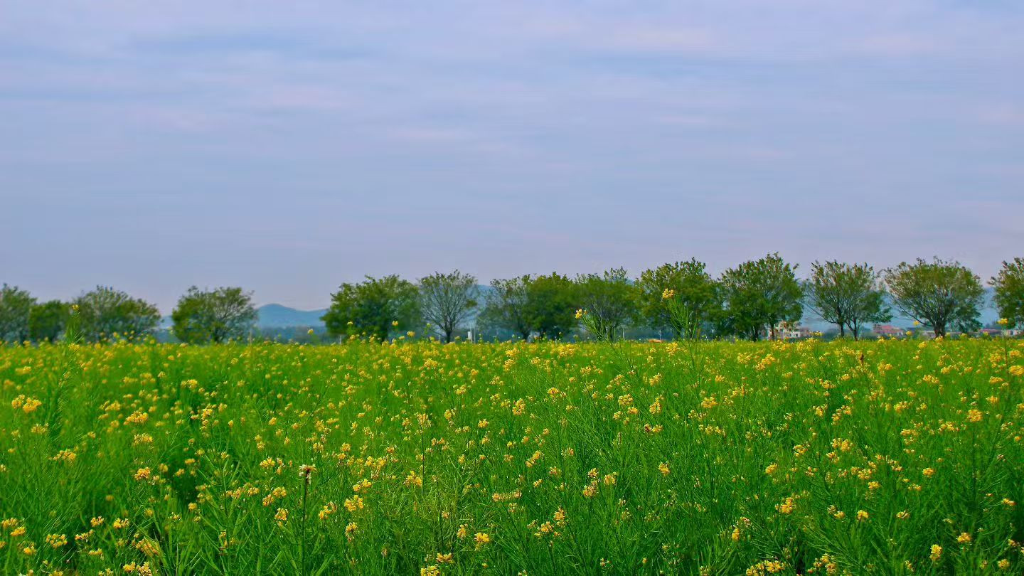 古籍校对，是让我觉得有意思的事情