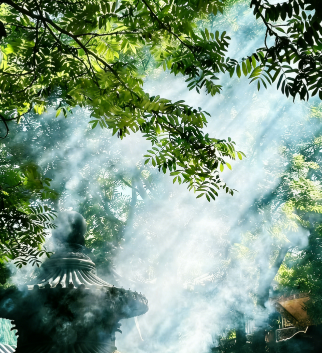 保护能量的最好方式，就是“我不入你的局”。不期待你的认可，也不在意你的否定，当我