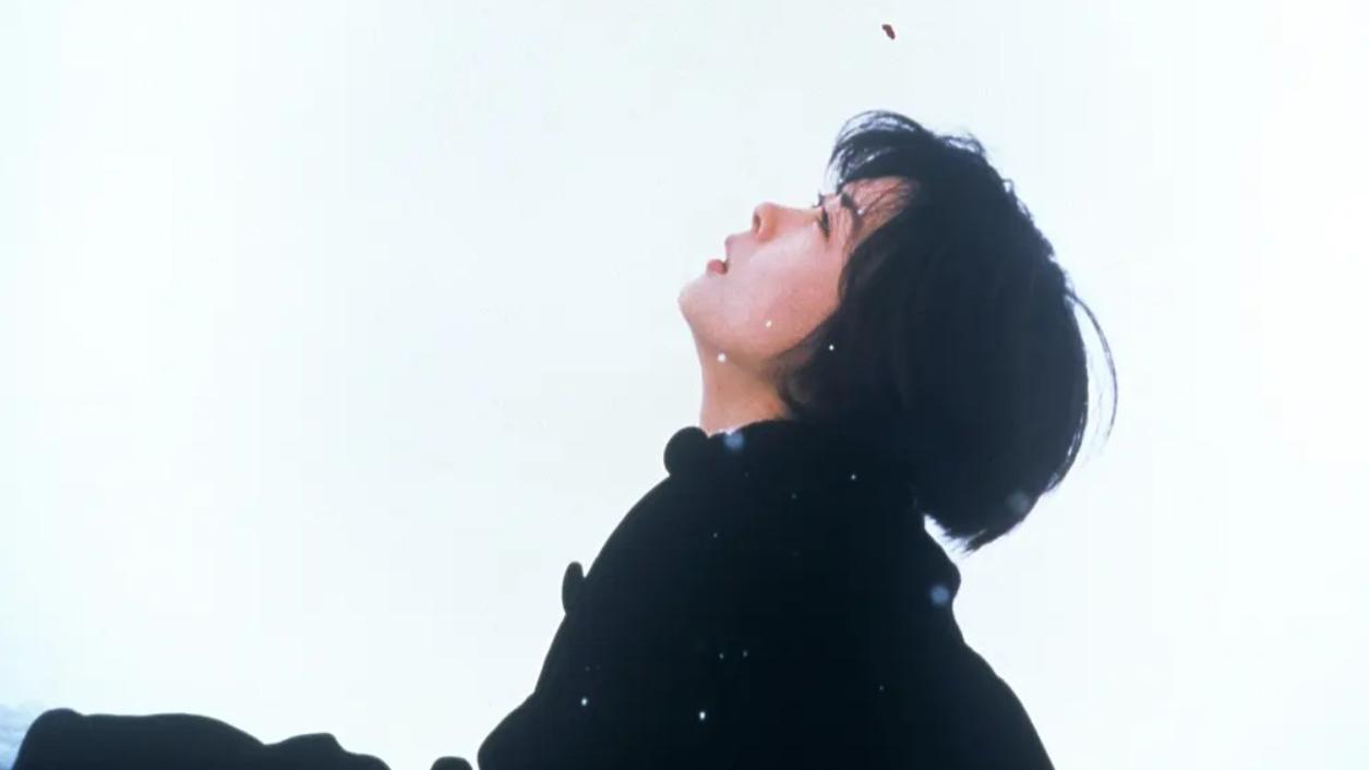 《情书》：人生中，有很多东西可以从头再来；唯独那份藏在心底、未曾言说的爱恋，一旦错过，便是永远的遗憾