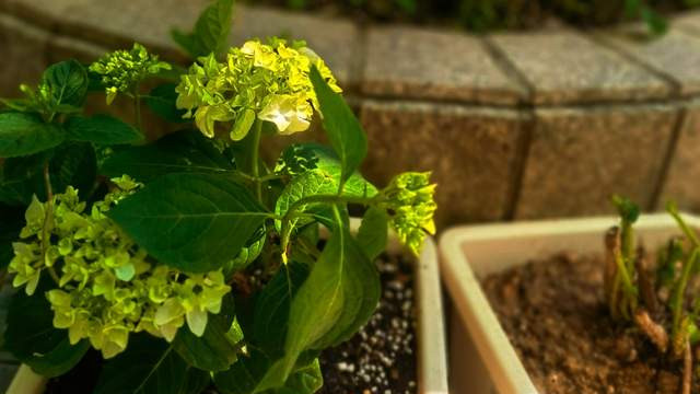 雨水：春的信使，润物无声