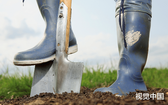 承包的鱼塘多次被盗，连看鱼的狗都丢了，我在鱼塘边挖个陷阱防贼，结果摊上28万赔偿官司