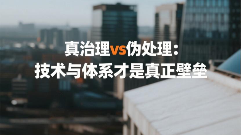 除甲醛行业大洗牌：全国直营双雄对决，撕开乱象背后的治理逻辑