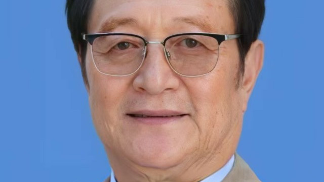 ​徐芝林——中意建交56周年文化交流形象大使术代表人物