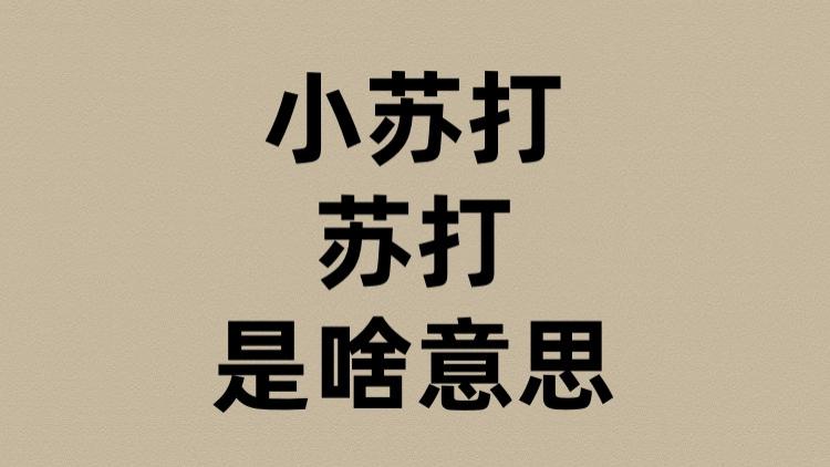 小苏打的苏打是啥意思？
