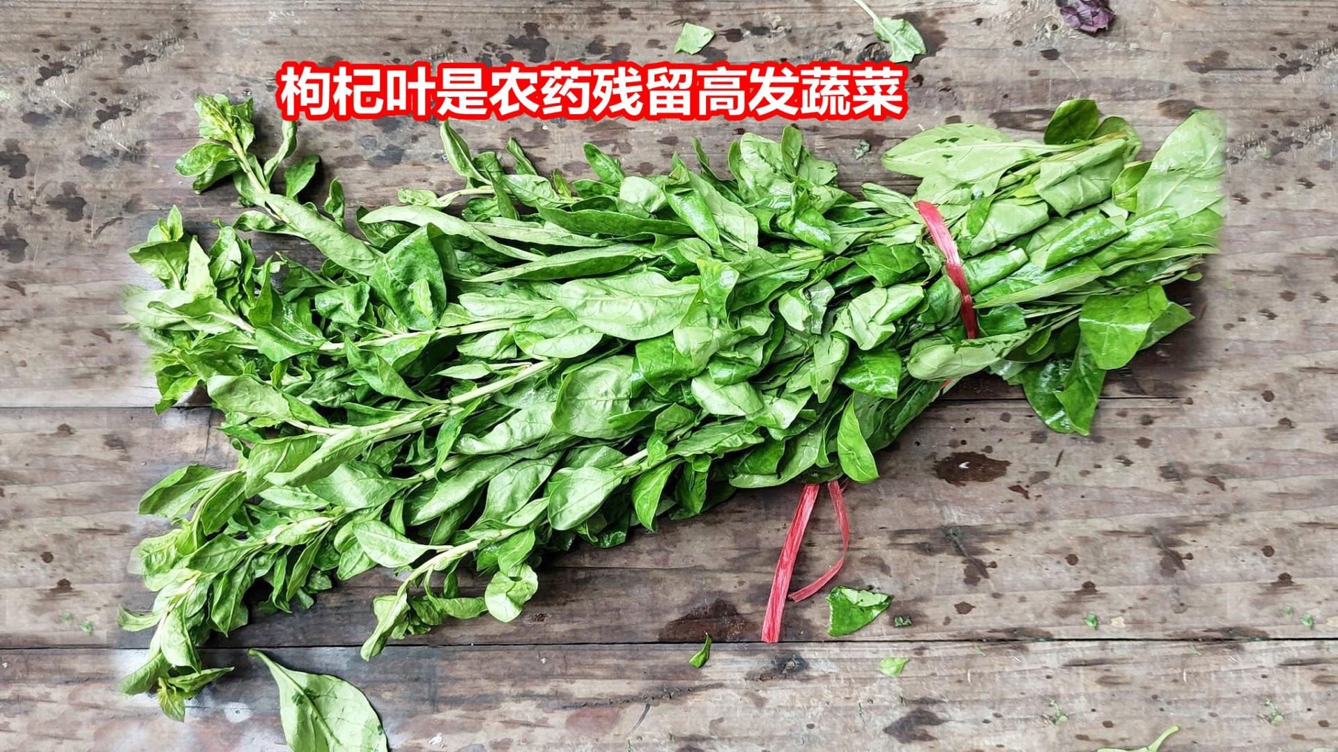 枸杞叶，从野菜到蔬菜，始于1980年代