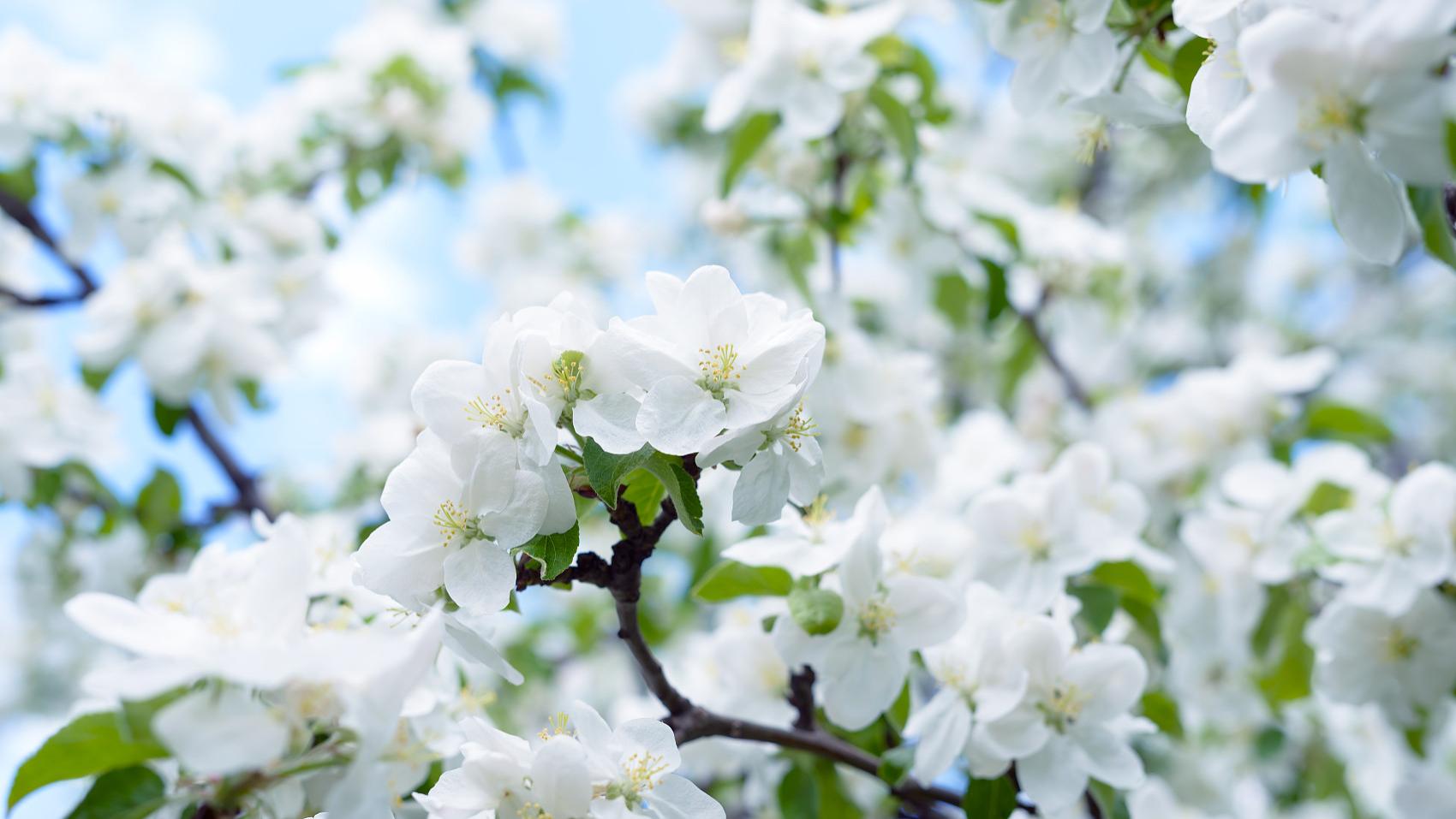 汪缘堂：寻根基的三大核心原则及步骤