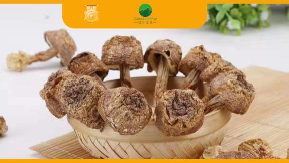 给餐饮稳定“鲜”力，让特色菌菇告别“时令”短板