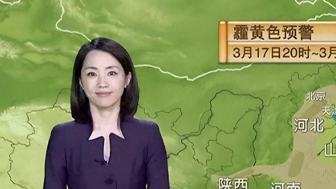 央视杨丹：嫁初恋坚持丁克15年愁坏婆婆，39岁意外产子全家乐开怀