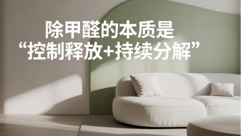除甲醛方法大比拼：很多人都在做无用功