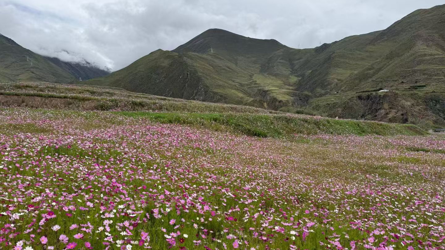便携暖奶杯CPC认证对应法规与测试项目说明