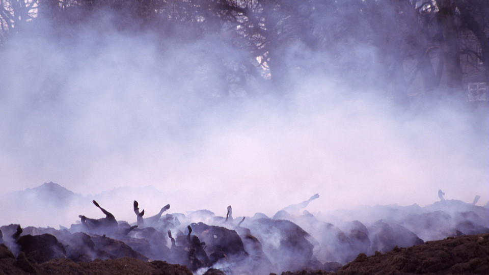 焚书坑儒的真相：秦始皇活埋的460人，真是无辜的书生吗？一张名单揭开骗局