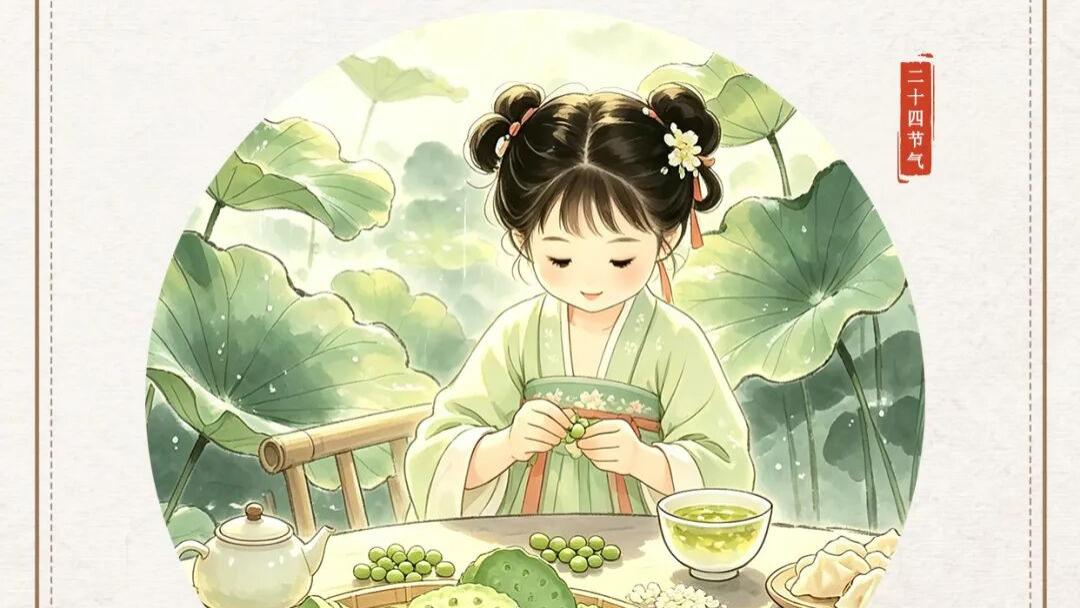 博物馆里的二十四节气 | 小暑与莲子心