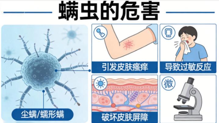 家用除螨仪怎么选？哪种品牌除螨仪效果好？畅销不衰的除螨仪10大品牌排行榜，权威分析！