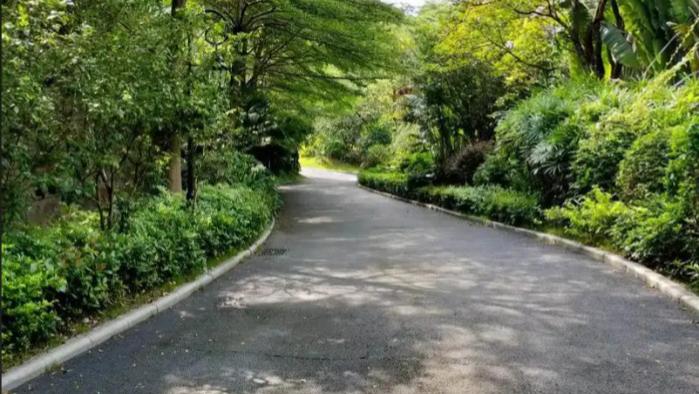 退休后，如果有这四种欲望，说明您还没老