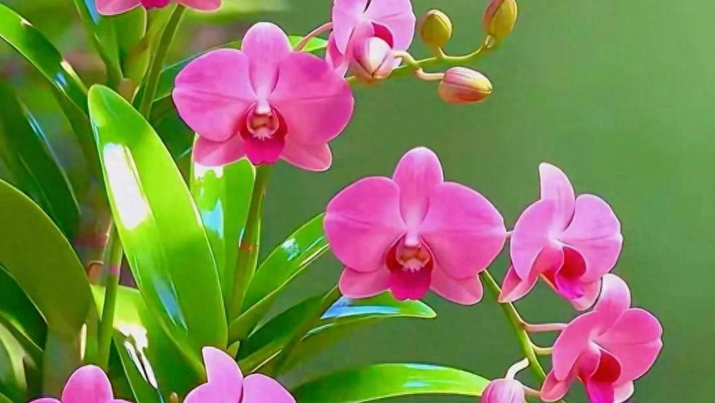 看清自己，相信自己，完善自己，成就自己