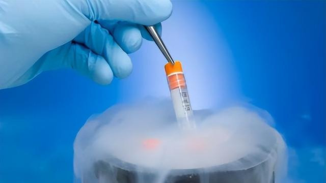 埃泽思生物|如何为特殊细胞类型挑选专用冻存液？