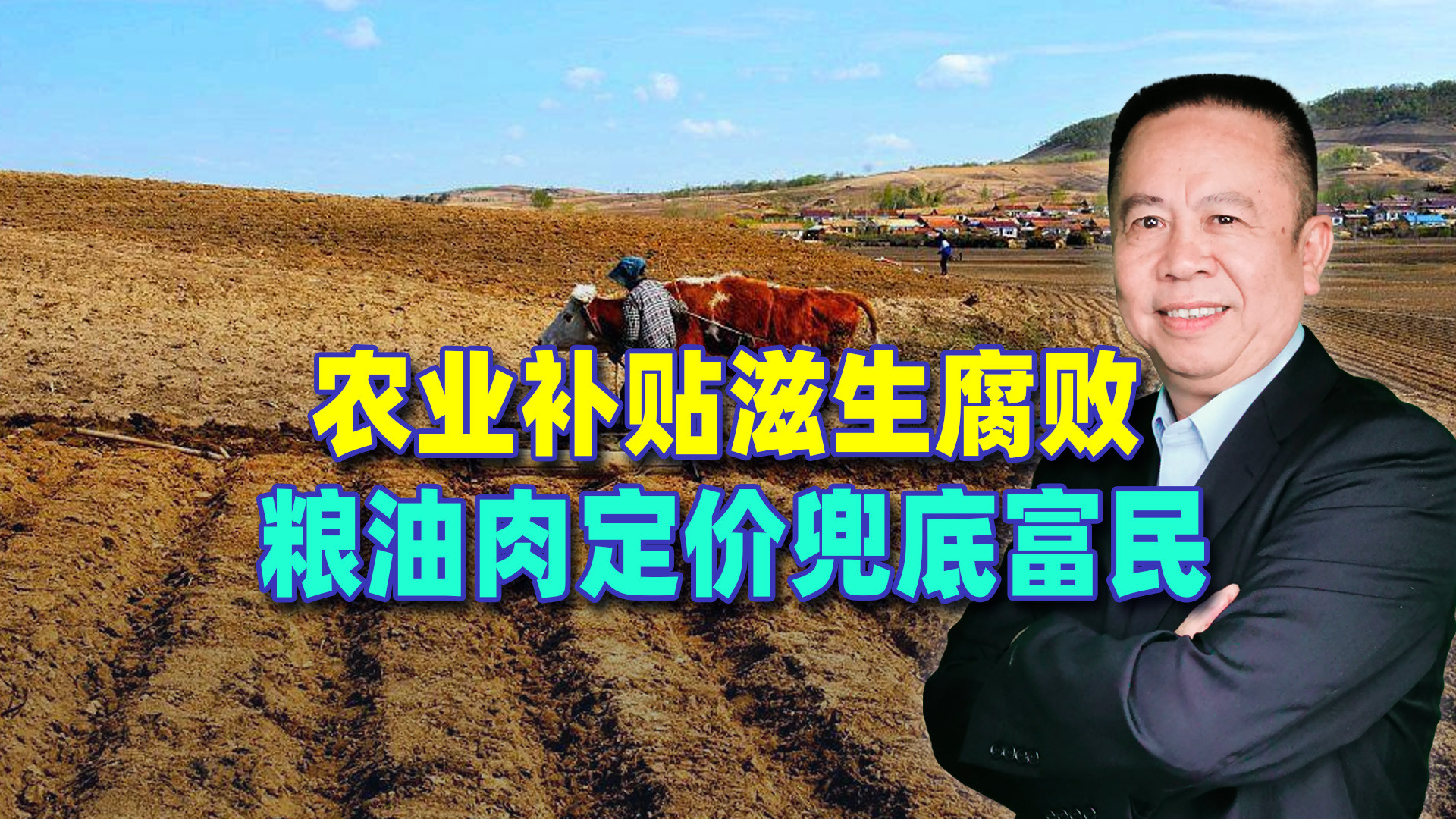 耕地大面积撂荒真相：补贴滋生贪腐，粮油肉兜底才是出路