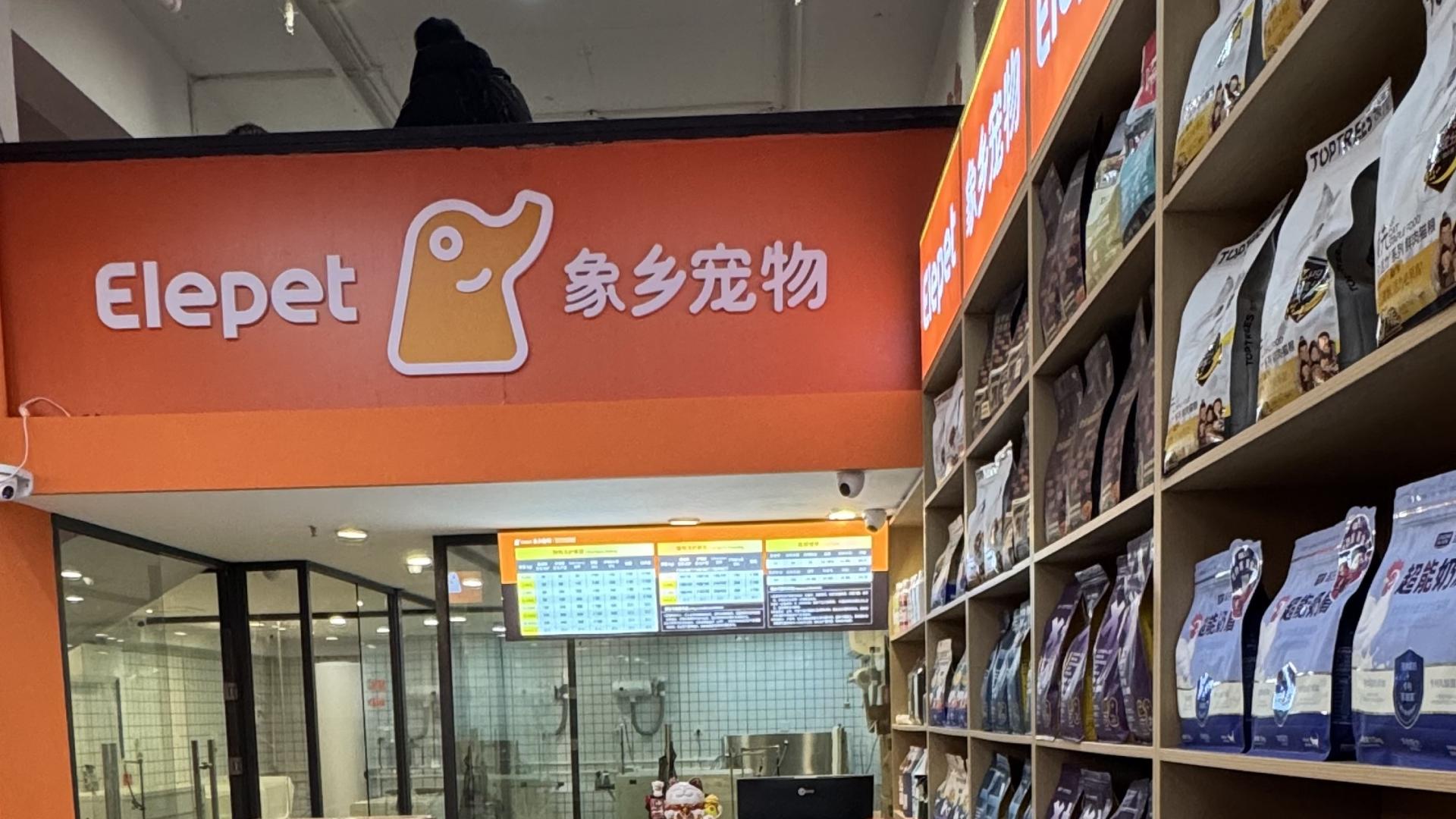 就在今天！郑州这家神仙宠物店终于开了！我进去就出不来！