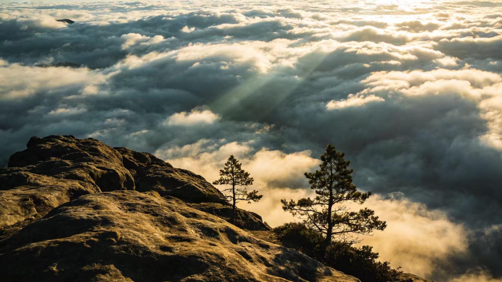重庆涪陵某社区多项基层乱象遭实名举报 涉及资金侵占、文凭造假、环境污染等问题