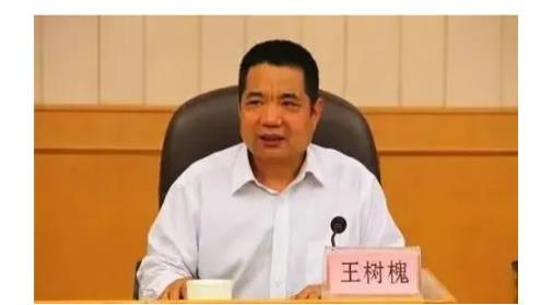 淄博王树槐：66岁王树槐突遭审查！淄博“老书记”落马，援藏光环下藏了多少黑金？