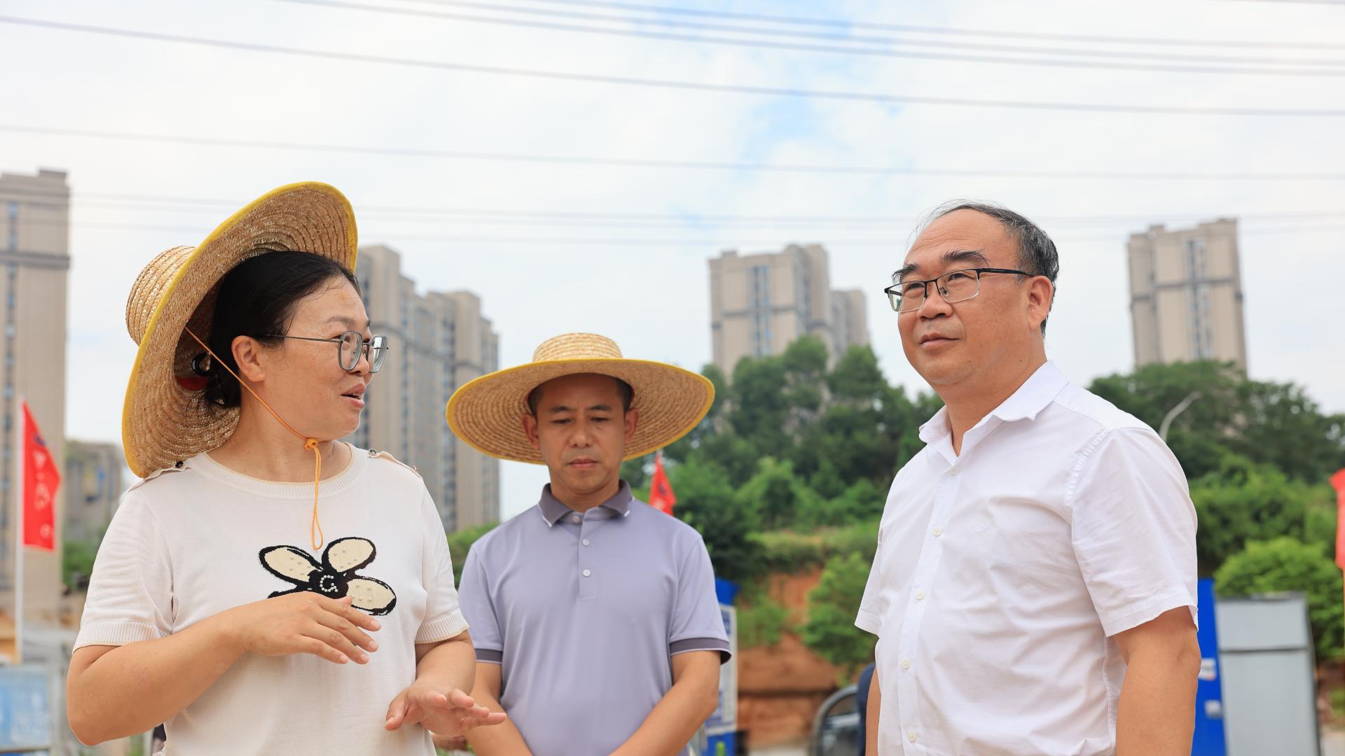 杨波调研树立和践行正确政绩观学习教育检视问题整改工作