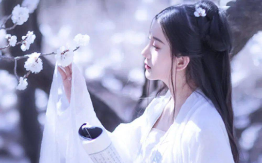 我明明是个正经的炼器师，可炼制出来的法宝却一个比一个不正经！