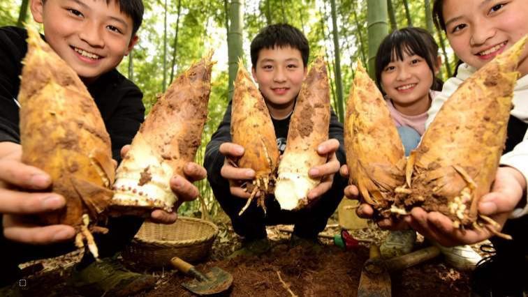 春日限定｜皖南溶洞探秘+竹林挖笋，解锁江南春天的N种玩法！