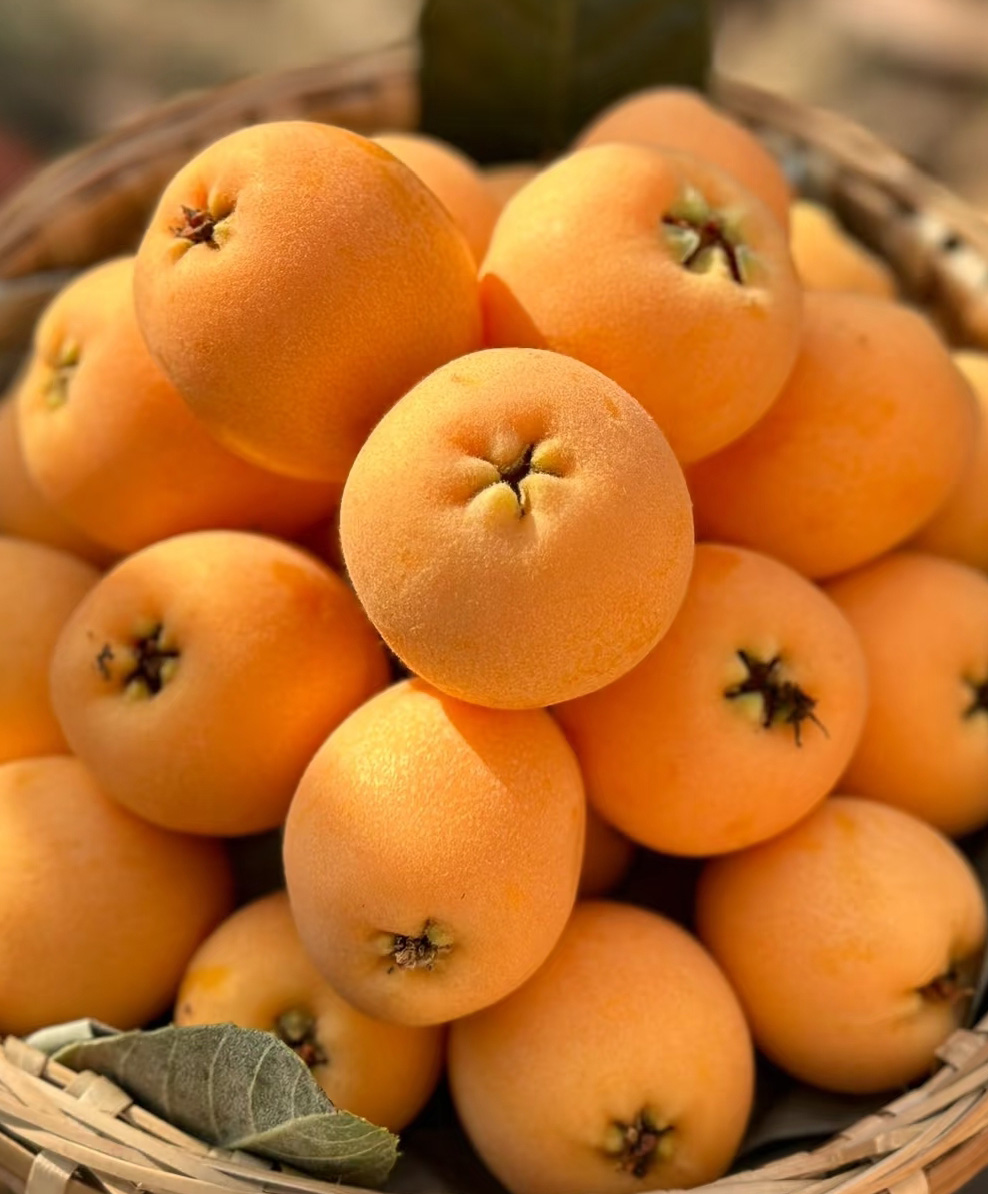 🍊枇杷值得被更多人知晓，不止是好吃！
5月的菜市场，金黄圆润的枇杷堆成小山，闻