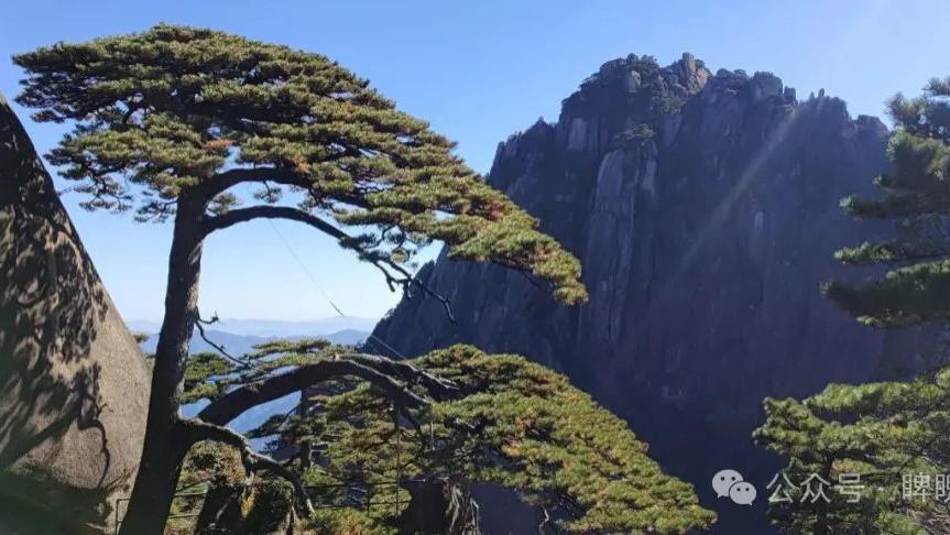 我在黄山绝顶，弄丢了一身俗世纷扰的浮躁（附黄山免门票攻略）