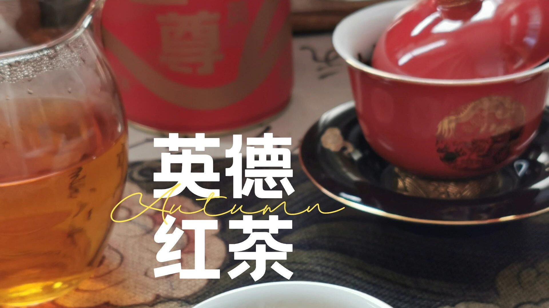 茶莉斯顿金尊英九9测评测，英德红茶明前春茶金英红
