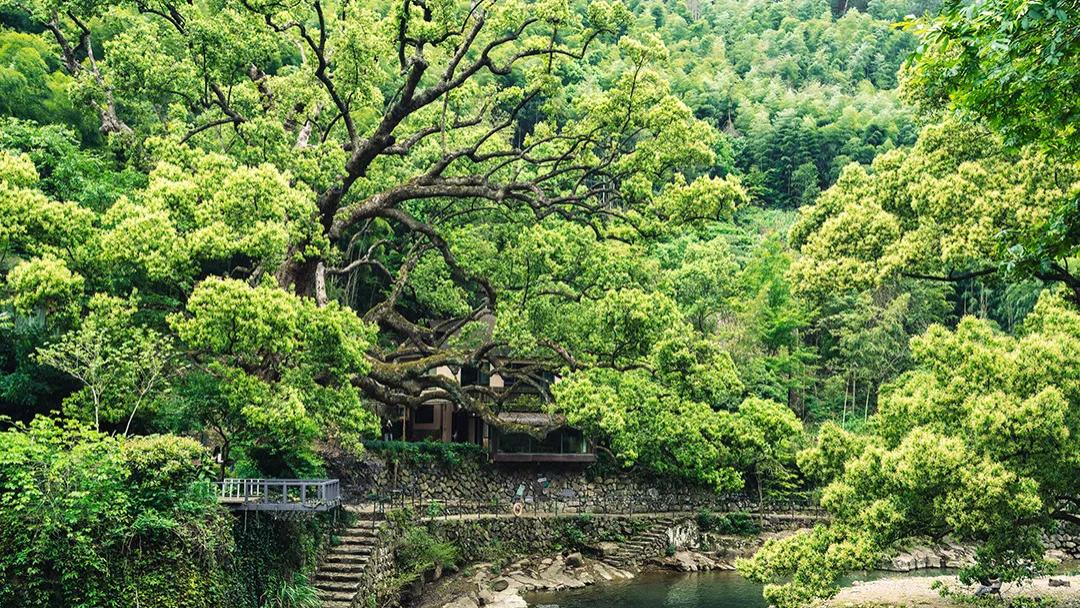 论文第二作者和通讯作者有什么区别？哪个更有含金量？