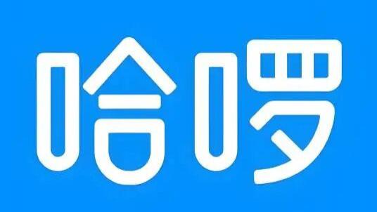 最快速度达 75km/h 被央视 315 点名！哈啰下架全部租赁电动车