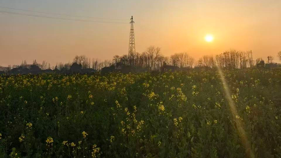 人到中年，遇见心动：那束短暂的光，已足够照亮余生