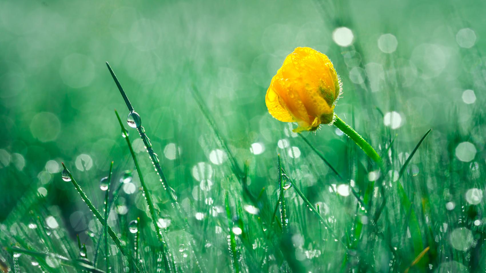 汪缘堂谈根基对命格的影响