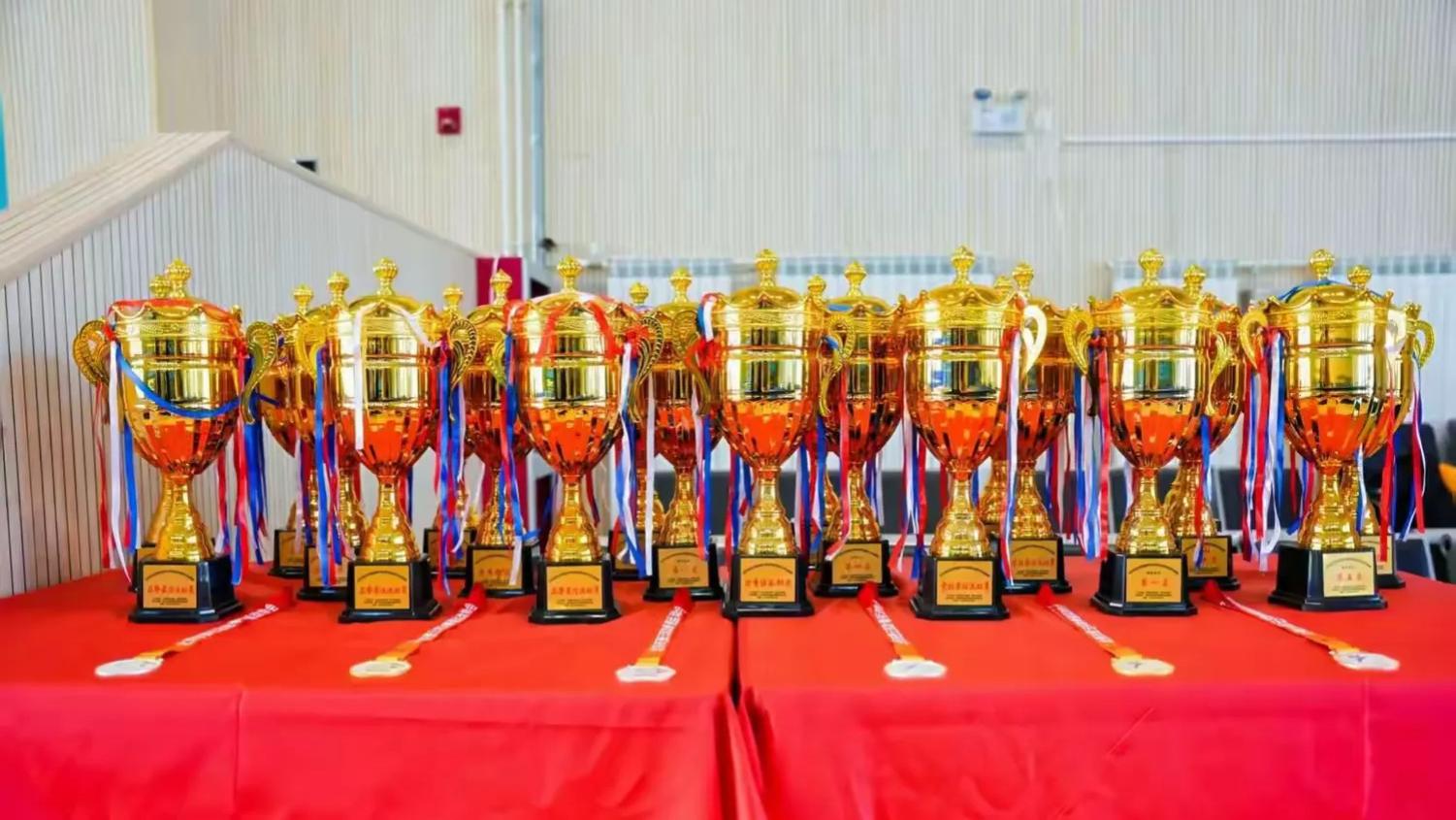 捷报！密云区青少年宫在第四届青少年跆拳道比赛中斩获佳绩