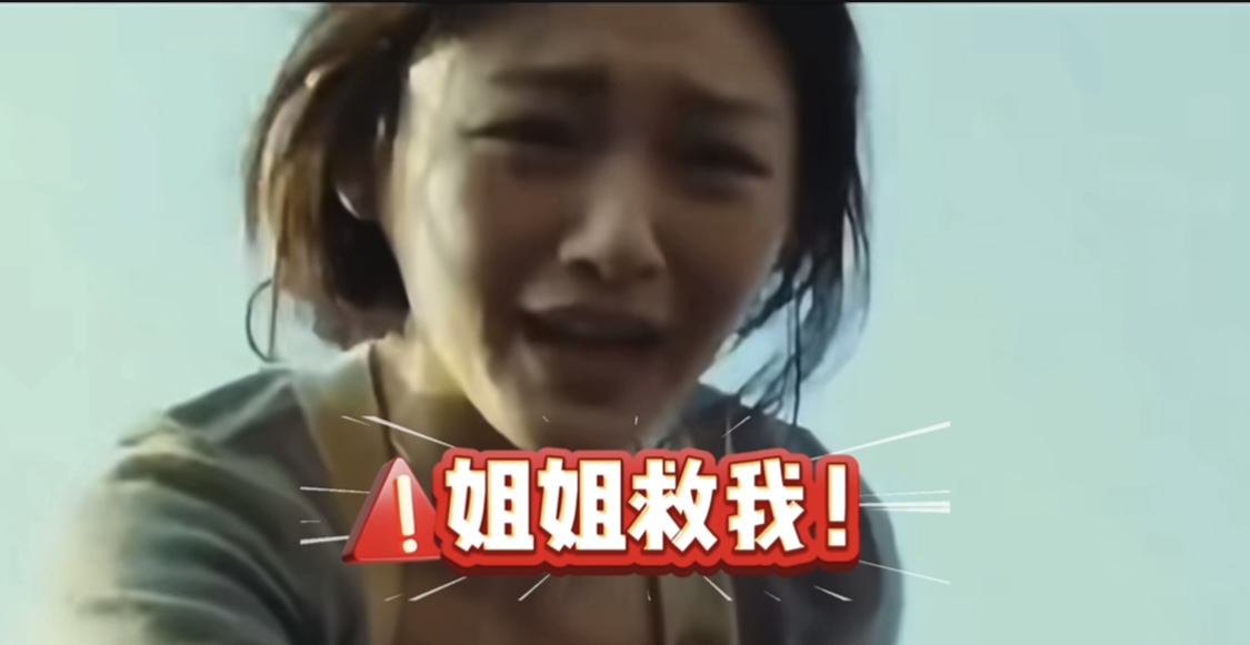 小s对大s到底是一种什么样的感情？